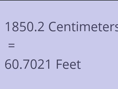 1850.2 CM TO FEET