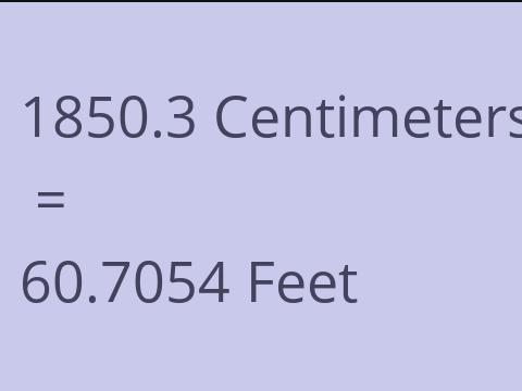 1850.3 CM TO FEET