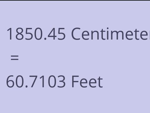 1850.45 CM TO FEET