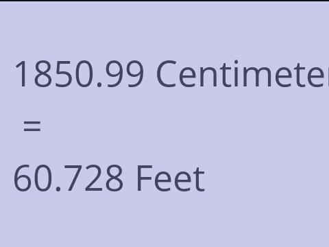 1850.99 CM TO FEET