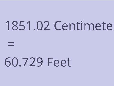 1851.02 CM TO FEET