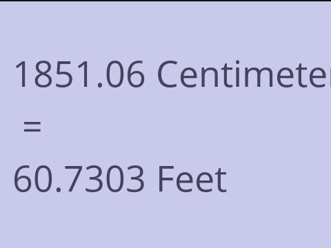 1851.06 CM TO FEET