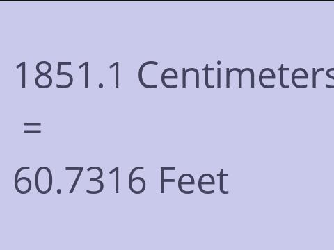 1851.1 CM TO FEET