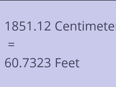 1851.12 CM TO FEET