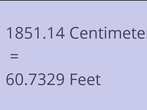 1851.14 CM TO FEET