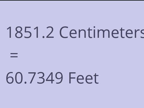 1851.2 CM TO FEET