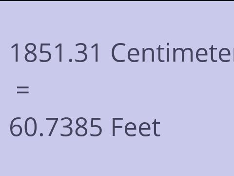 1851.31 CM TO FEET