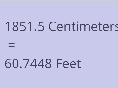 1851.5 CM TO FEET