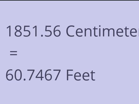 1851.56 CM TO FEET