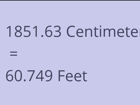 1851.63 CM TO FEET