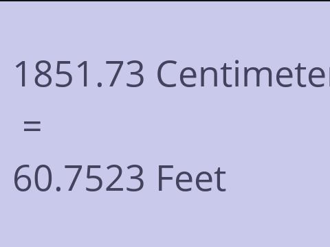 1851.73 CM TO FEET