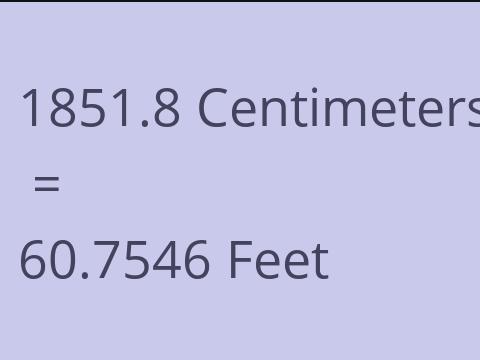 1851.8 CM TO FEET