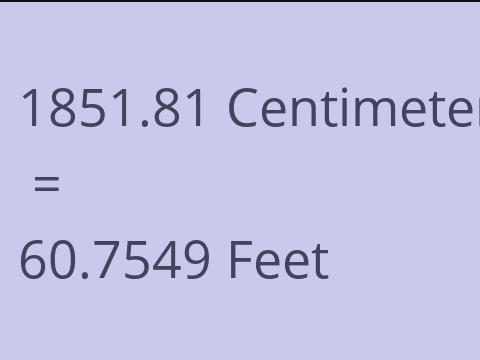 1851.81 CM TO FEET