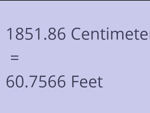 1851.86 CM TO FEET