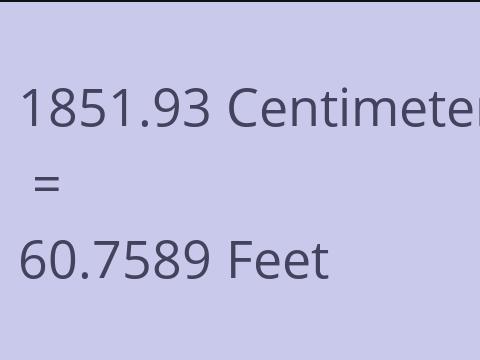 1851.93 CM TO FEET