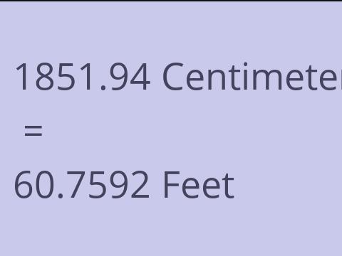 1851.94 CM TO FEET