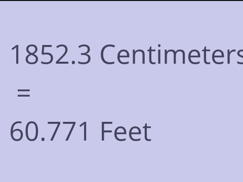 1852.3 CM TO FEET