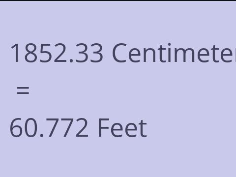 1852.33 CM TO FEET