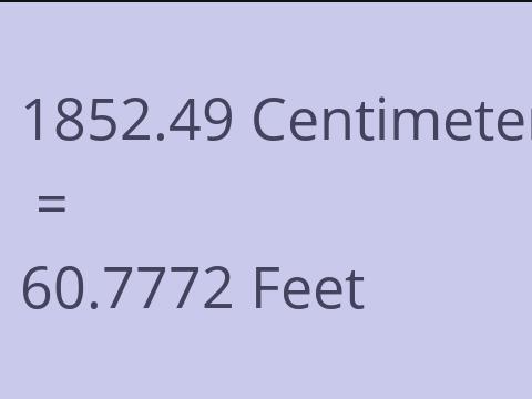 1852.49 CM TO FEET