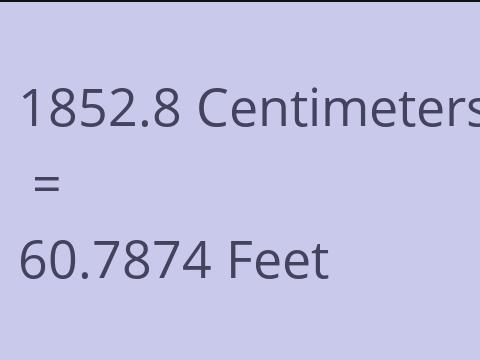 1852.8 CM TO FEET