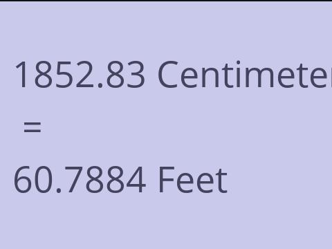 1852.83 CM TO FEET