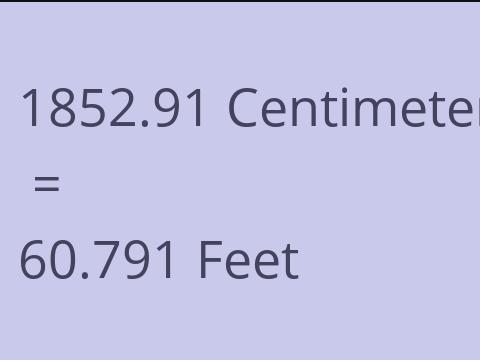 1852.91 CM TO FEET