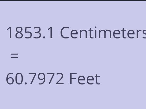 1853.1 CM TO FEET