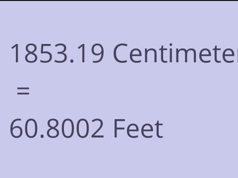 1853.19 CM TO FEET