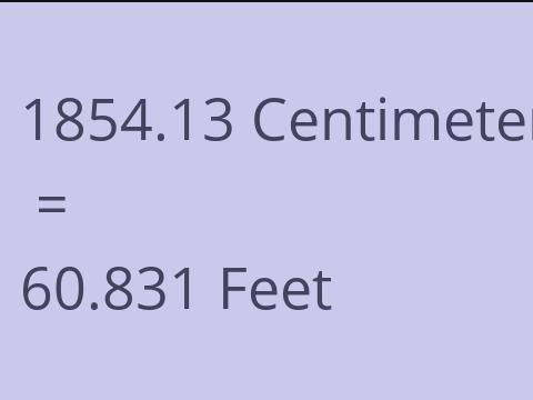 1854.13 CM TO FEET