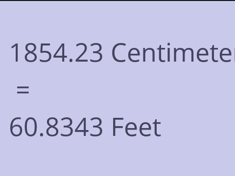 1854.23 CM TO FEET