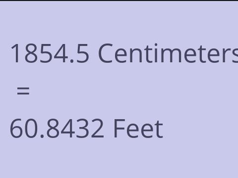 1854.5 CM TO FEET