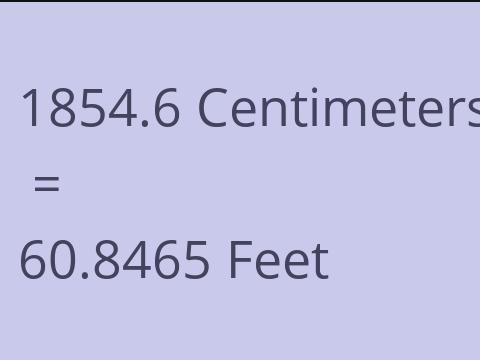 1854.6 CM TO FEET