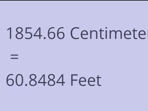 1854.66 CM TO FEET