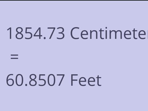 1854.73 CM TO FEET