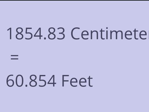 1854.83 CM TO FEET