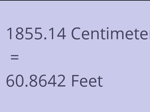 1855.14 CM TO FEET