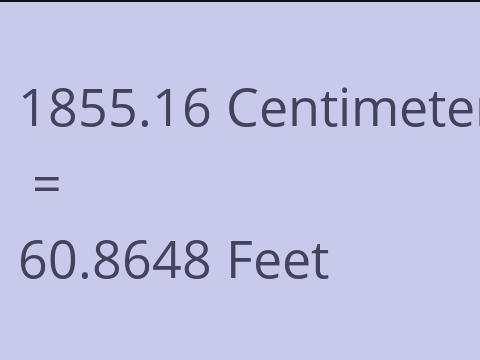 1855.16 CM TO FEET