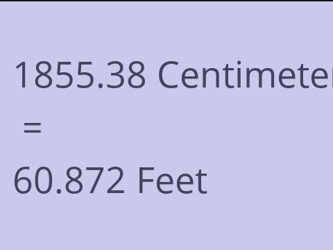 1855.38 CM TO FEET