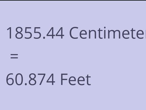 1855.44 CM TO FEET