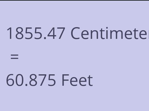 1855.47 CM TO FEET