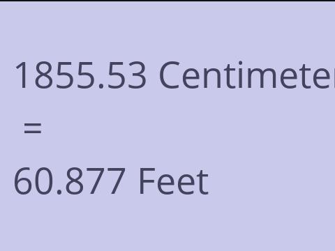 1855.53 CM TO FEET