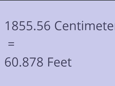 1855.56 CM TO FEET