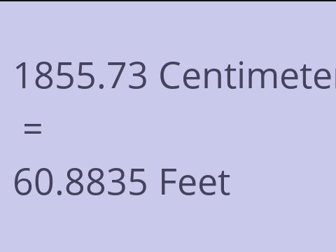 1855.73 CM TO FEET