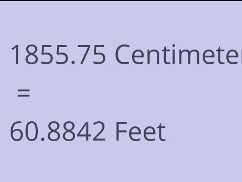 1855.75 CM TO FEET