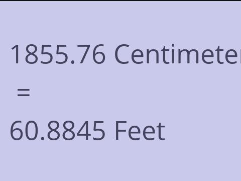 1855.76 CM TO FEET