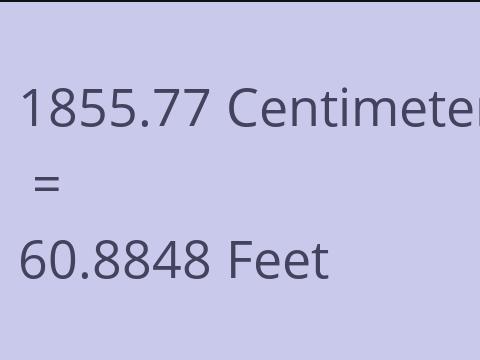 1855.77 CM TO FEET