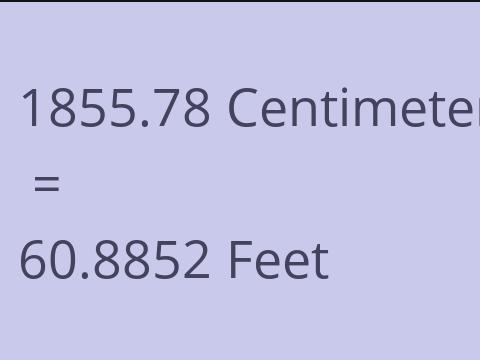 1855.78 CM TO FEET