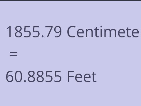 1855.79 CM TO FEET