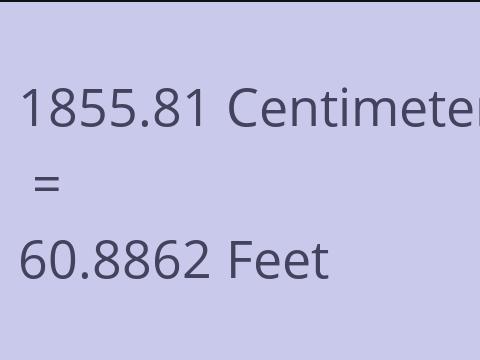 1855.81 CM TO FEET