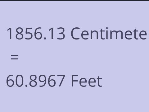 1856.13 CM TO FEET